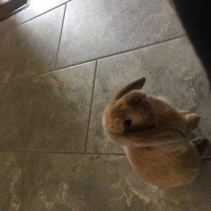 Meet your Posher, Eleanor